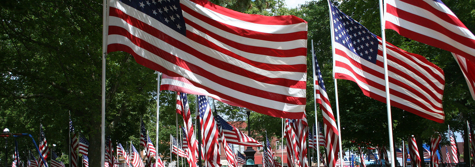 Park filled with flags.