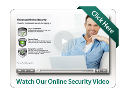 Online Security Video