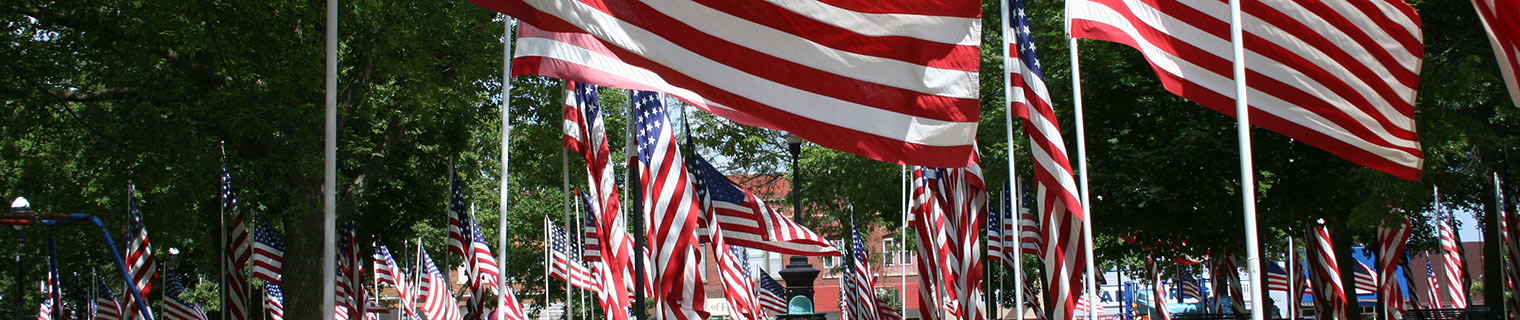 Bunch of flags in park